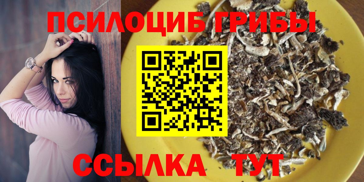 Псилоцибиновые грибы Psilocybine cubensis Каменск-Уральский