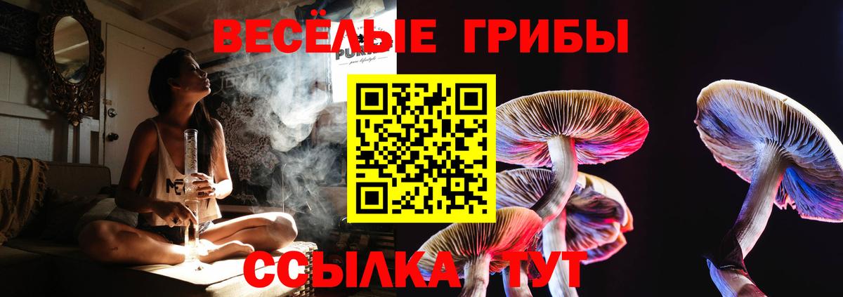 Псилоцибиновые грибы мицелий  Вход с VPN  Каменск-Уральский 